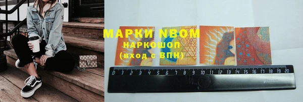стафф Тайга