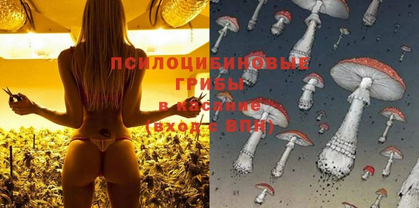 мет Баксан