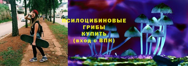 молекула духа Балабаново