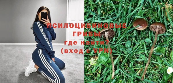 мет Баксан