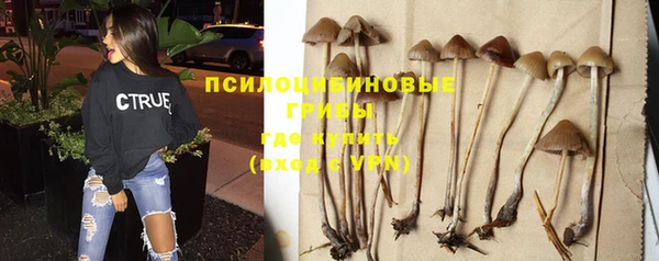 мет Баксан