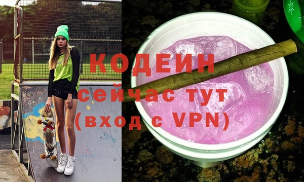 сатива Сясьстрой